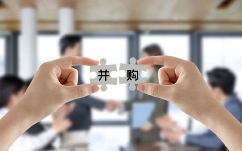 中誠咨詢IPO過會 募資總額砍掉1.3億，董事長夫人控股達(dá)86.98%