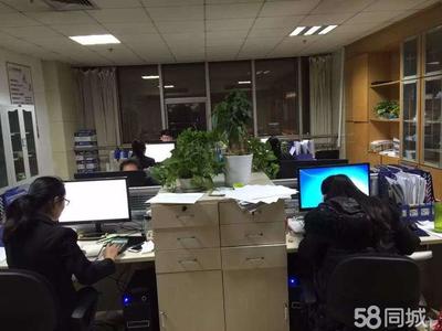 山東金證信息咨詢服務(wù) 專業(yè)信息咨詢的可靠伙伴
